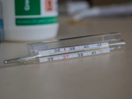 Более 10% заболевших гриппом оренбуржцев подхватили «свиной» вирус