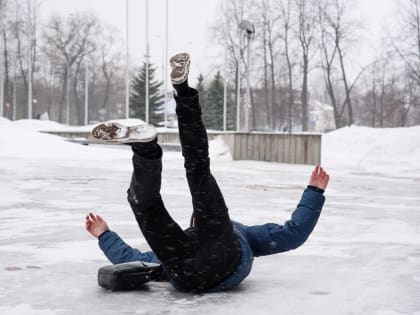 Не гоняйте птиц! Запреты на 20 ноября