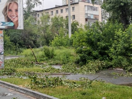 В Свердловской области синоптики пообещали на 23 июня штормовой ветер