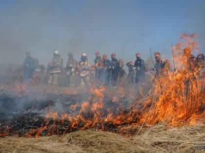 В Свердловской области вдвое увеличили группировку сил для борьбы с природными пожарами