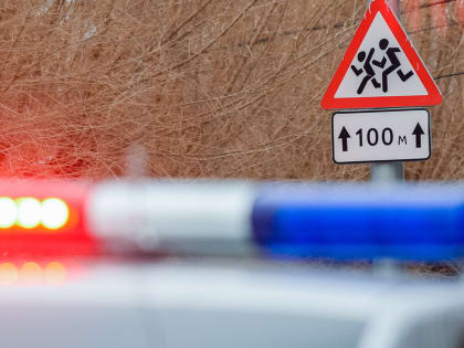Прием граждан Нижнего Тагила в ГИБДД приостановлен из-за коронавируса