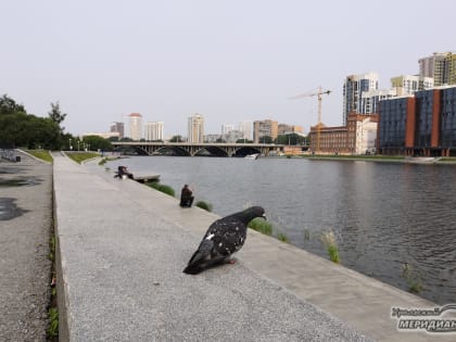 В Свердловской области похолодает до +12 градусов в воскресенье днём