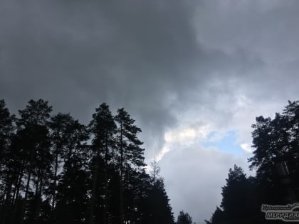 МЧС объявило штормовое предупреждение в Свердловской области на 10 апреля из-за сильного ветра