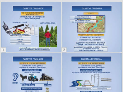 Памятка грибникам