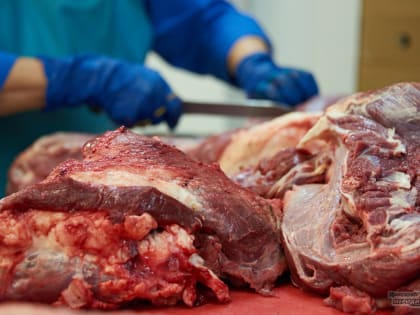 Свердловский Роспотребнадзор изъял 3,6 тонны некачественной мясной продукции