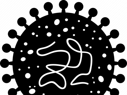 Профилактика вирусных гепатитов