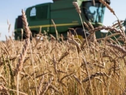 Свердловские аграрии получат господдержку на производство картофеля и овощей