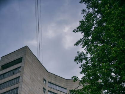 С начала сезона клещи покусали 311 качканарцев