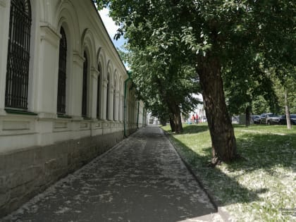 Биолог рассказал, как избавиться от тополиного пуха в Екатеринбурге