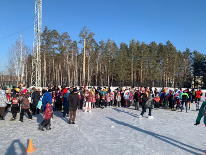 Заречный в сети