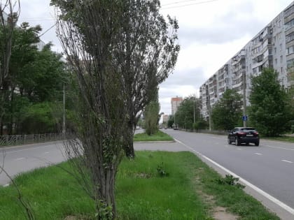 Летняя жара придет в Свердловскую область