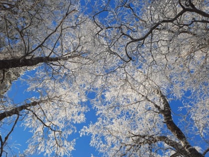 ТОП-7 уникальных мест для зимних экскурсий на природу из Екатеринбурга