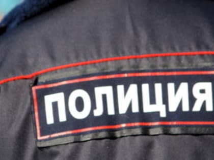 В полиции Екатеринбурга прокомментировали инцидент с полуголой девушкой на дороге