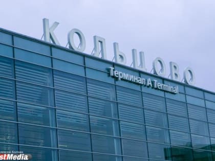 Депутаты одобрили налоговые льготы для аэропорта Кольцово