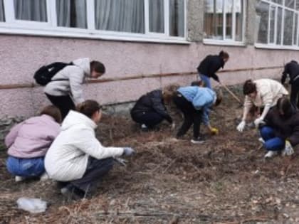 «Чистый двор – здоровый Колледж»