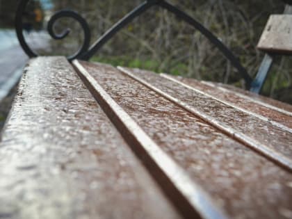 На рабочей неделе в Нижнем Тагиле ожидается до +16 градусов и дождь