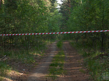 Власти Екатеринбурга ужесточили запрет на посещение лесов, лесопарков и торфяников