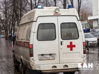 Семимесячный ребенок умер в поезде, который остановили в Екатеринбурге