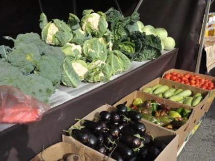 Овощи и белый чай – защитники от рака: мнение врачей