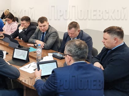 В Полевском до сих пор обнаруживают чипированных животных с других территорий