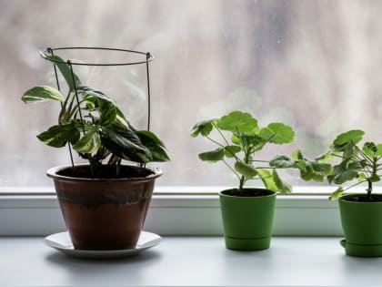 В Нижнем Тагиле в выходные ожидается солнечная погода