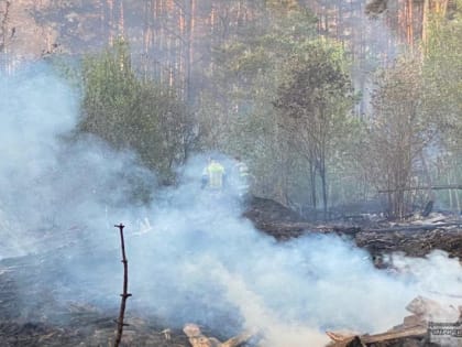 Для тушения торфяного пожара под Екатеринбургом набирают волонтёров