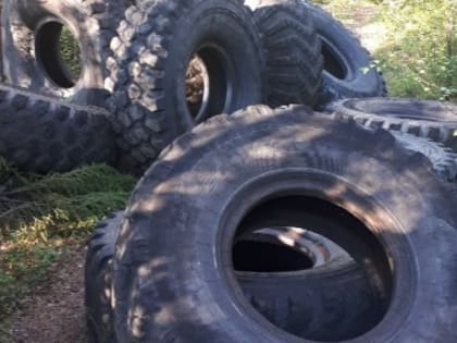 Чёрные мусорщики в Свердловской области используют каршеринг