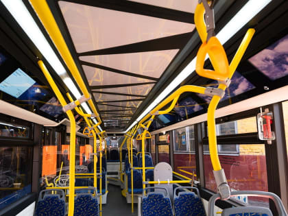 Перевозчики Екатеринбурга отказались возить горожан от Кольцово до метро на Ботанике