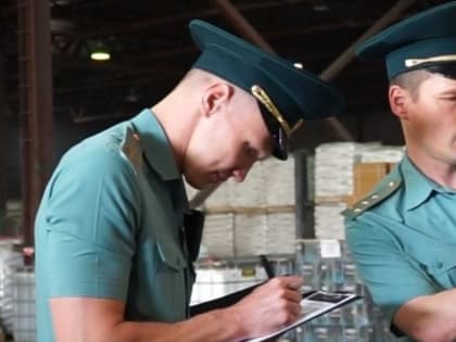 Поздравление с Днем таможенника: значение и достижения