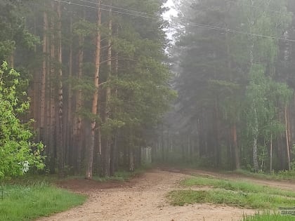 Потерявшегося 70-летнего свердловчанина нашли в ночном лесу около Берёзовского