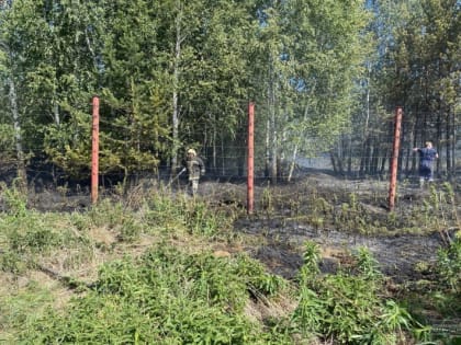 В Свердловской области отменяют режим ЧС с 14 июня