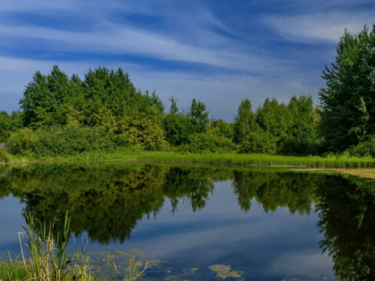 Информирование населения