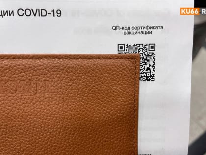 Роспотребнадзор заявил об отсутствии планов введения QR-кодов из-за гриппа
