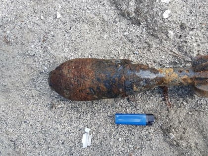 Минометную мину нашли в лесу у поселка Таватуй