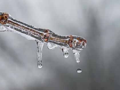 Синоптики в Свердловской области 26 февраля обещают плюсовую температуру