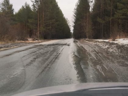 Нижнетагильскому лесничеству придется убрать свалки на полмиллиона на Исинском тракте