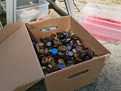 Активисты и предприятия Екатеринбурга дарят мусору вторую жизнь