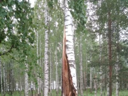 Опасно для жизни