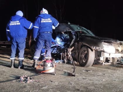 На уральской трассе в массовой аварии с фурами разбились два человека