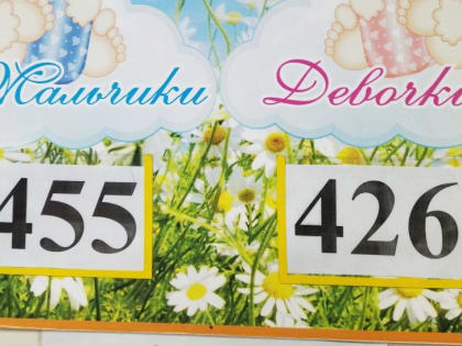 В роддоме Краснотурьинска за 2023 год появился 881 малыш