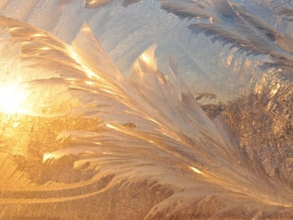 Россиянам рассказали действенный способ привыкнуть к холоду