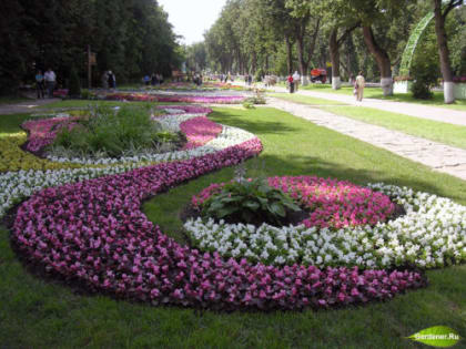 Жителям Качканара предлагают украсить город своими цветами