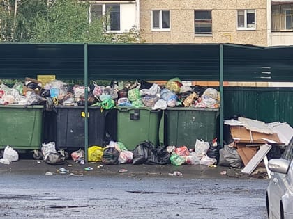Прокуратура Полевского взяла на контроль ситуацию с вывозом мусора