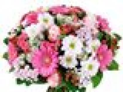 Поздравляем с 8 Марта!