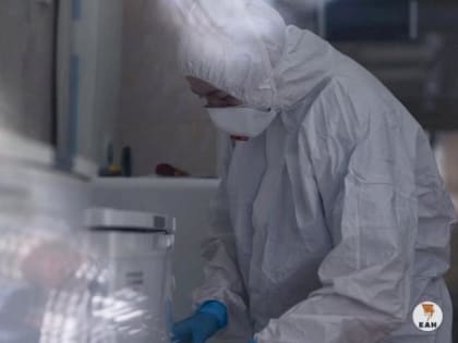 В программу бесплатной медицины включили профилактику диабета и лечение гепатита