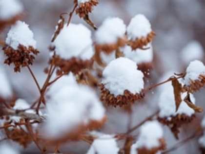 В Екатеринбурге после оттепели стремительно похолодает