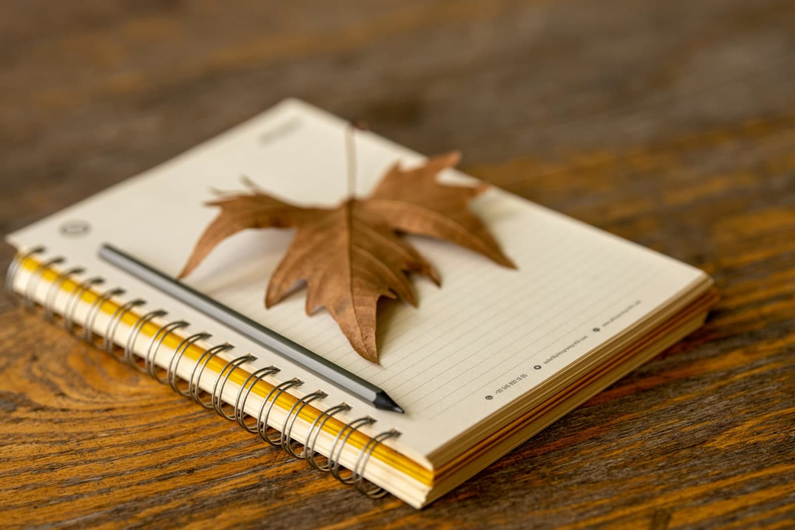 Do we need to Teach Writing Today? 