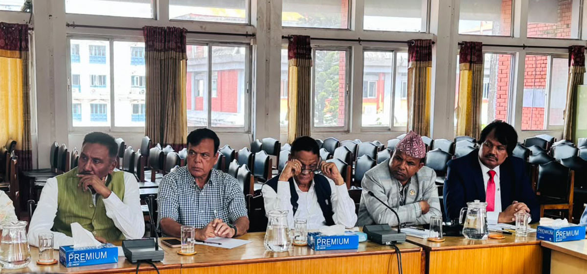 सिंहदरबारले स्थानीय तहलाई पूर्ण अधिकार दिन सकेन : सीके राउत 1