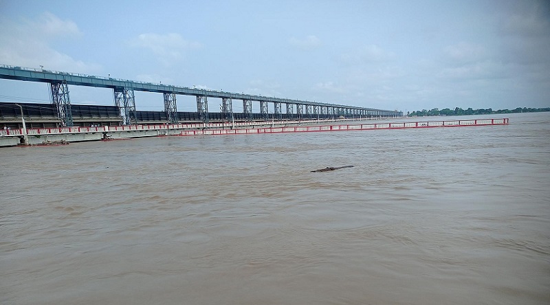 कोशी ब्यारेजमा जलसतह बढेसँगै ३१ वटा ढोका खोलियो 1