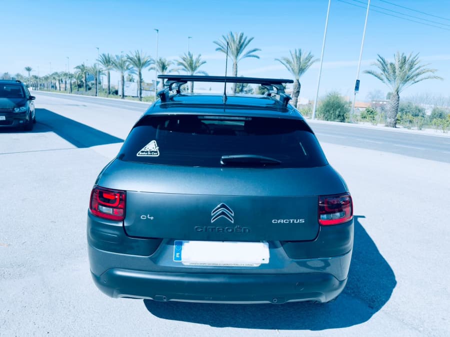 Citroen C4 CASTUS